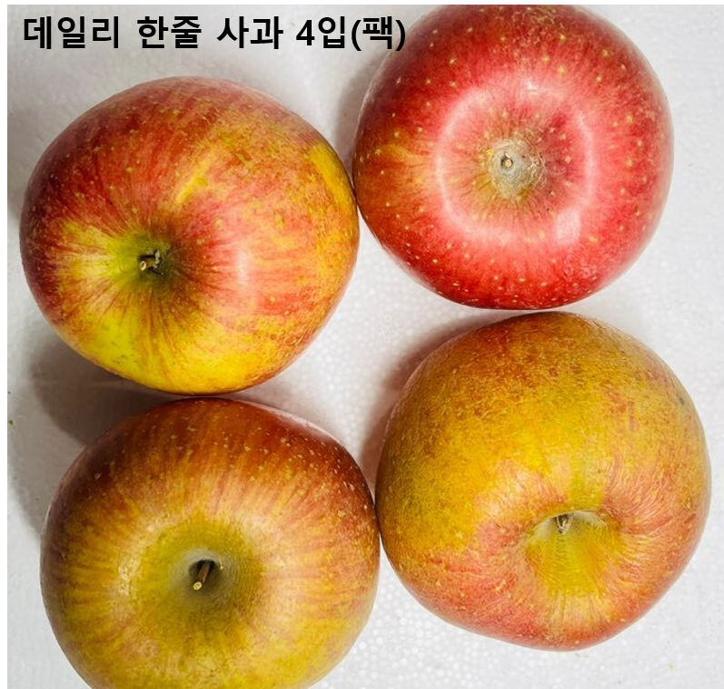 이미지3